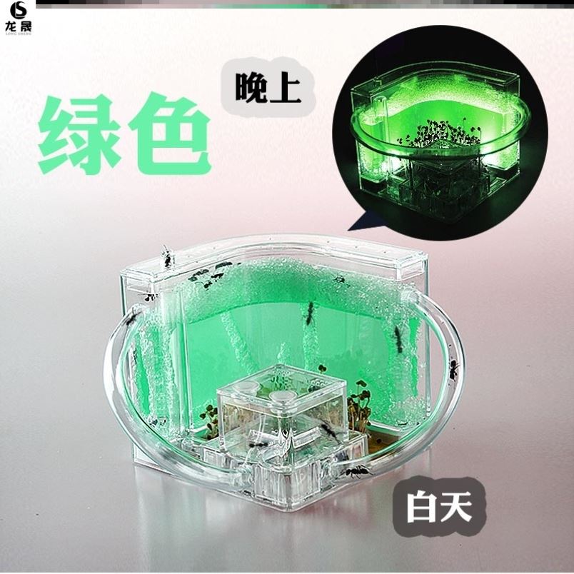 Observation Boxes Estate Eco-Ants Workshop Palace Ants Farm Boxes Ants Home Teachers Pet Empire Bionic