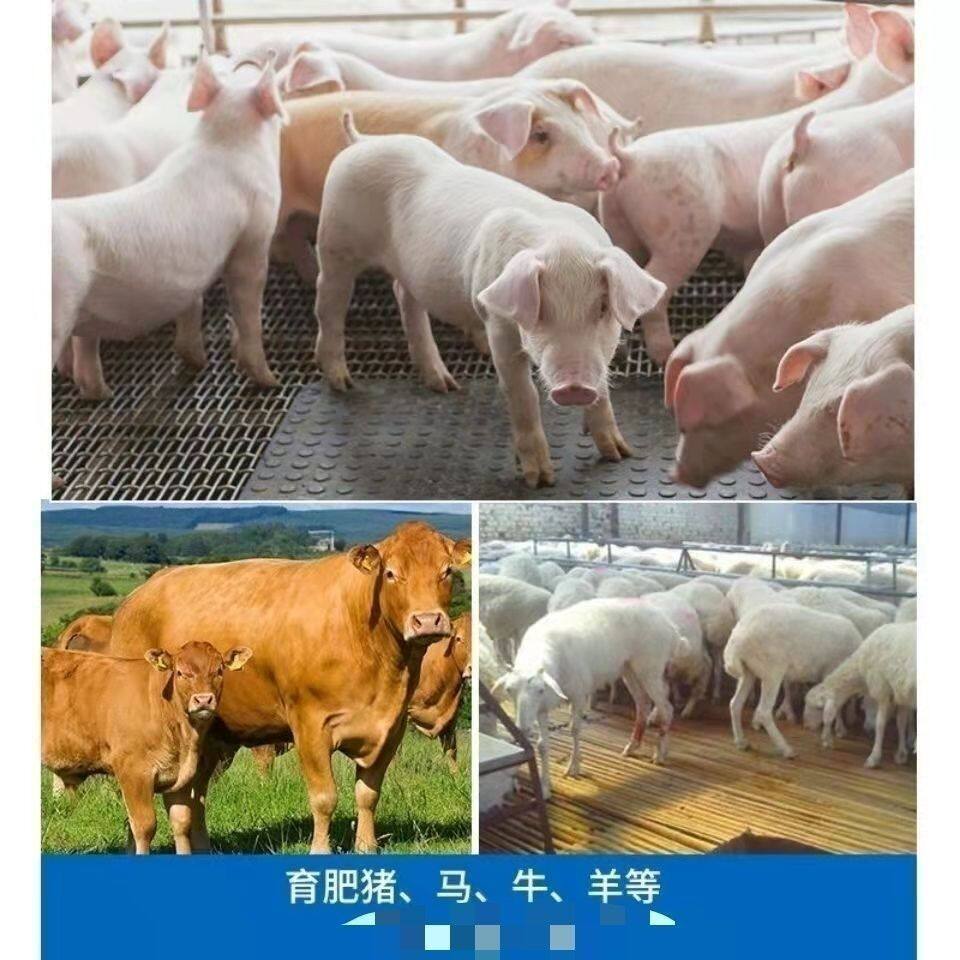 诚信牧业的LOGO