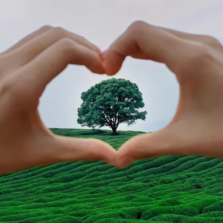 洲源环保实业