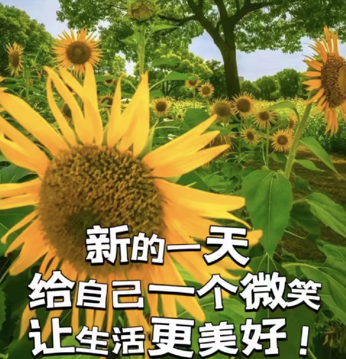 风饰旗舰店的LOGO