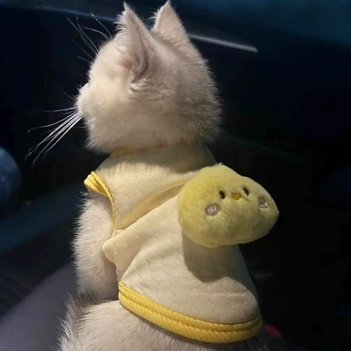 Одежда для кошек на все времена года, жилетки для котят и щенков, куклы, британские короткошерстные питомцы, кошки, собаки и щенки, чтобы согреться осенью и зимой.