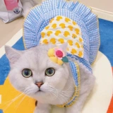 Кошачья одежда подвеска подвеска летнее тонкое платье британское короткое оранжевое кошачье тряпичное тряпичное тряпкое кошачь