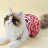 Кошачья одежда подвеска подвеска летнее тонкое платье британское короткое оранжевое кошачье тряпичное тряпичное тряпкое кошачь