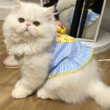 Кошачья одежда подвеска подвеска летнее тонкое платье британское короткое оранжевое кошачье тряпичное тряпичное тряпкое кошачь