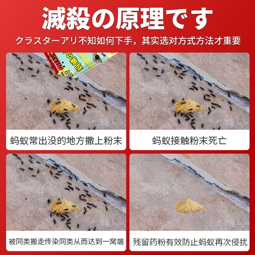 Муравьиная медицина Один горшок с домохозяйственными термитами и лечение выделенных лекарств -все это в помещении не оксик, муравьев,