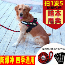 Dog leash vest type golden retriever Labrador harness small medium and large dog walking rope dog chain