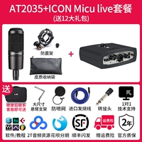 AT2035+значок MICU Package