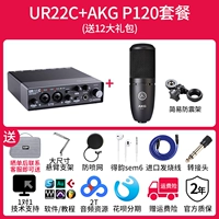 Ur22c+akg p120 пакет