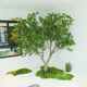 Simulated Milan Tree, Large Artificial Tree for Indoor Decoration, Floor-Standing Green Plant, Window Display Landscaping, Nordic Ins-Style Fake Tree