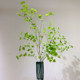 Artificial Greenery with Real Branches and Leaves, Simulated Green Plants for Landscaping, Horse-Dranker Tree, Bio-Inspired Decorative Dry Branches, Large Insfeng