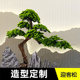 Artificial Welcoming Pine Tree, Large Indoor and Outdoor Zen-Style Decorative Green Plant, New Chinese-Style Entrance Landscaping Pine Tree