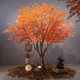 Premium Artificial Maple Leaves, Fake Yellow and Red Maple, Large Artificial Green Plants, Decorative Fake Trees for Indoor and Outdoor Use, Japanese-Style Landscape Design