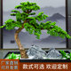 Artificial Welcoming Pine Tree, Large Beauty Arhat Pine, New Chinese Style Living Room Entrance Interior Decoration Landscaping