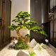 High-End Pine Tree Welcoming Pine Artificial Tree Green Plant Landscaping Arborvitae Decorative Ornaments Indoor and Outdoor Large Landscape Fake Tree