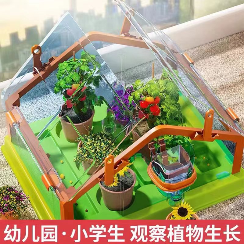 Kota duck planting bar children's sun planting room kindergarten to observe plant growth notes small pot plant