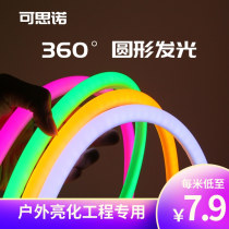 220V light strip led light strip outdoor waterproof super bright flexible round soft light strip silicone atmosphere 12V neon light strip