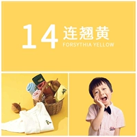 14#forsythia желтый 0,7*1,2 метра