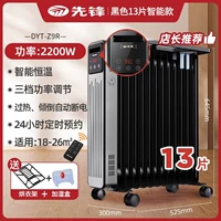 13 штук [черное золото]