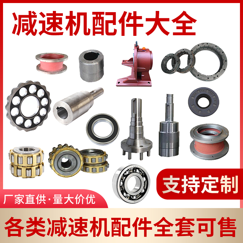 Cycloidal pin wheel planetary reducer accessories Daquan cycloidal pin pin sleeve helical gear input and output shaft eccentric bearing