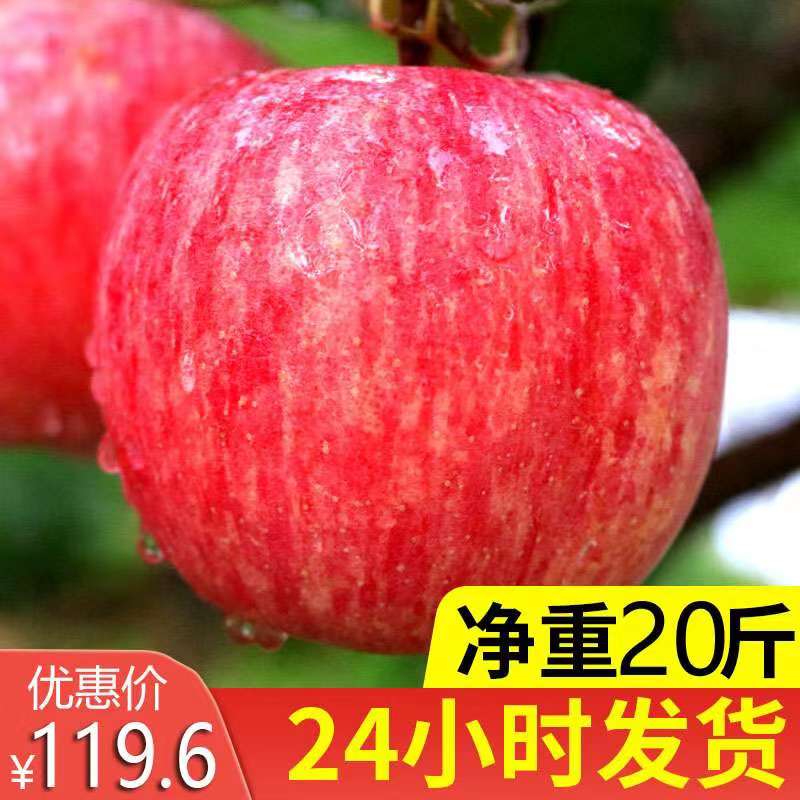 20 catties selected Yantai apple Qixia red Fuji fresh fruit brushed red striped Nongpingan fruit Christmas