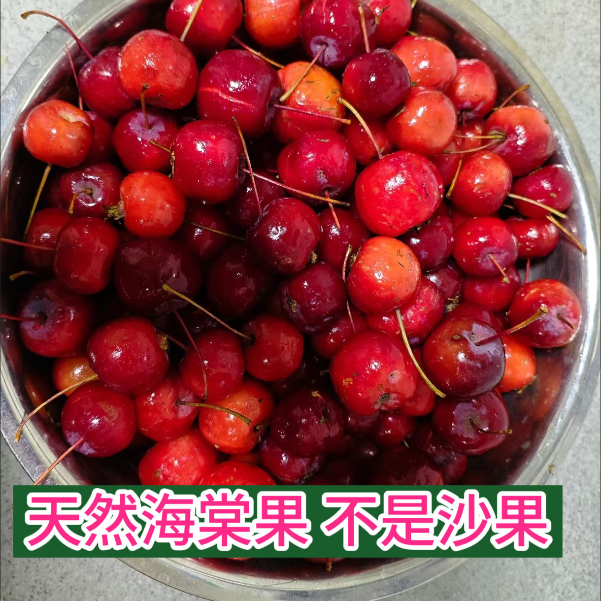 海棠（Chaenomeles sinensis）种植与养护全攻略｜生长习性及园林应用, image size:1220x1220