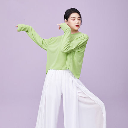 Cardamom Yiyuan back split jazz dance suit female sexy elegant loose costume long-sleeved yoga top blouse
