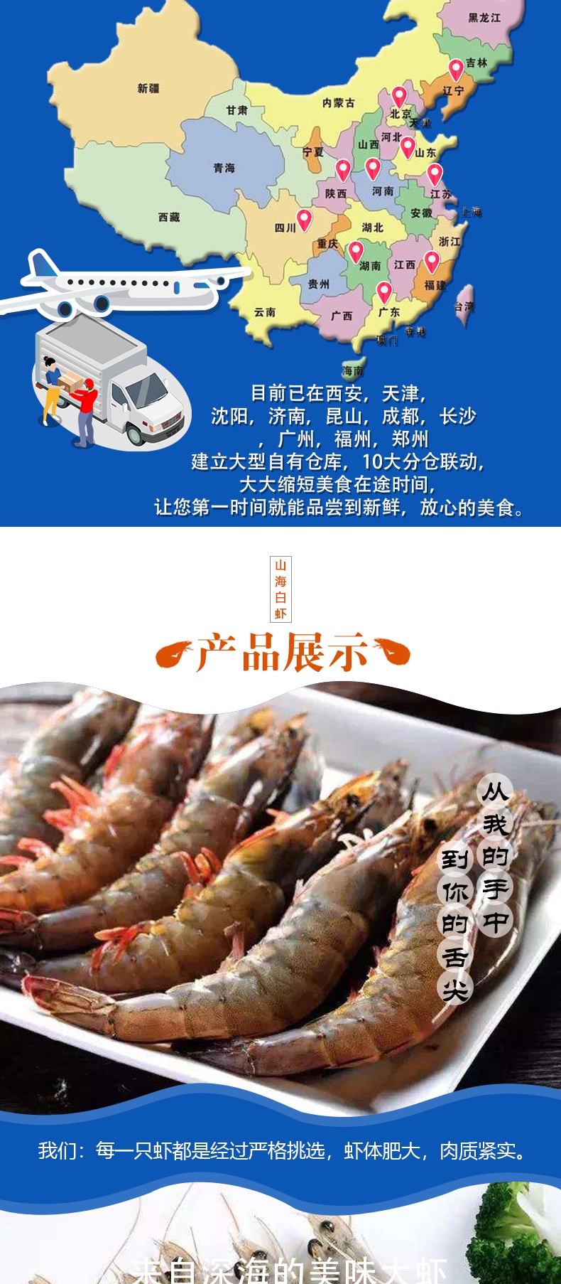 青岛 海捕海虾 净重2.8斤 10-12cm 图3
