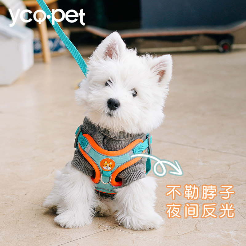 Dog traction rope small dog reflective vest style teddy bib Bear with baby bag puppy dog Rope Dog Necklace