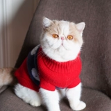 Удерживающий тепло рождественский красный трикотажный милый свитер