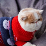 Удерживающий тепло рождественский красный трикотажный милый свитер