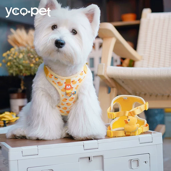 Товары от ycqpet旗舰店