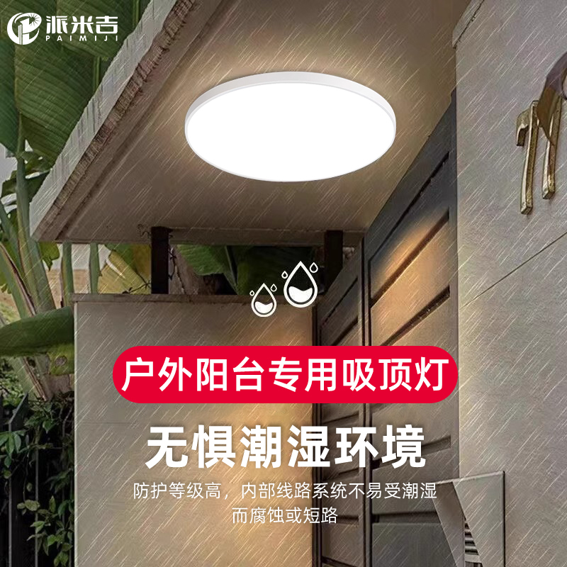 Outdoor Ceiling Light, Courtyard Eaves, Outdoor and Indoor Balcony Light, Rural Self-Built House Door Entrance Insect-Proof Lighting