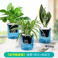 [Formaldehyde Package Blue Pot] Green Luo+Schilan+Tiger Pilan (удобрение)
