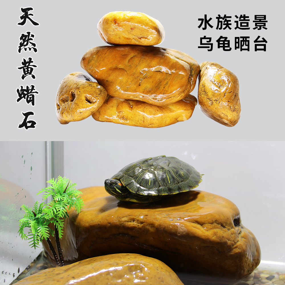 Yellow Wax Stone Fish Tank Build View Stone Fake Mountain U Turtle Sun Terrace Climbing Terrace Stone Natural Climbing Stone Turtle Sunburn Back Stone