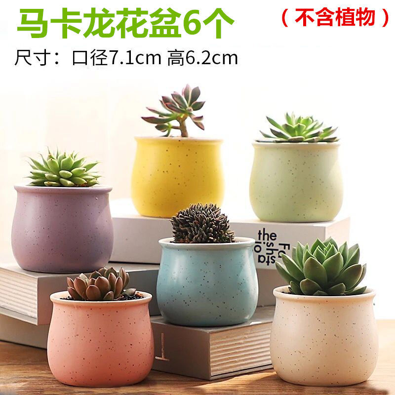 Flowerpot ceramic special offer a clearance large money plant with tray was creative move meaty plant small fleshy wholesale flower pot