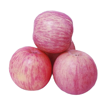 Please do not take photos for testing Sxq05 SKU