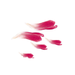 测试请不要拍+画像生成山柔
