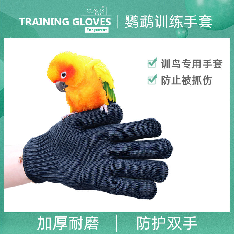 Parrot anti-bite steel wire gloves, pet bird feeding medicine, cutting feathers and flying training gloves, a pair of special gloves for catching birds