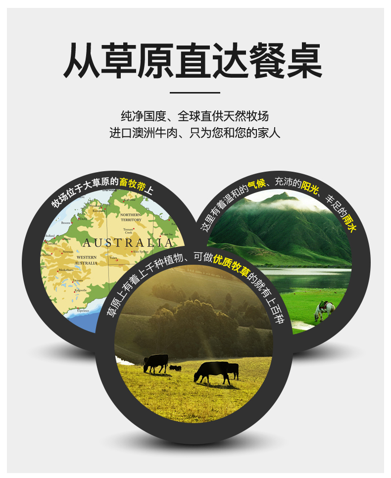 澳洲进口 原肉整切牛排套餐 10片/1300g 通过核酸检测 图3