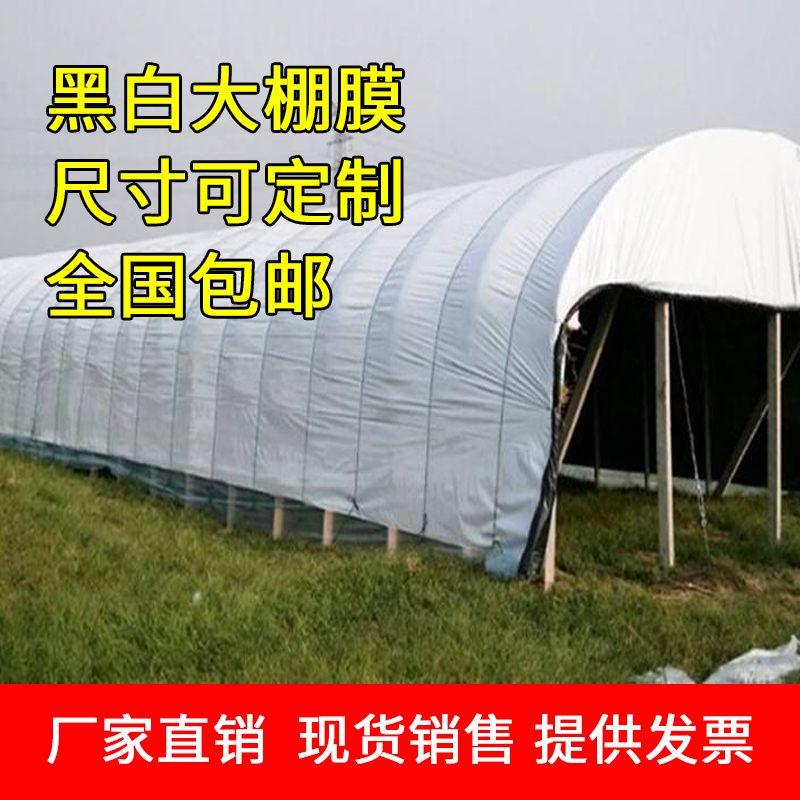 Special greenhouse film for black and white film culture, edible fungus film, thermal insulation, light-shielding film, sunscreen and thermal insulation plastic film, agricultural greenhouse film