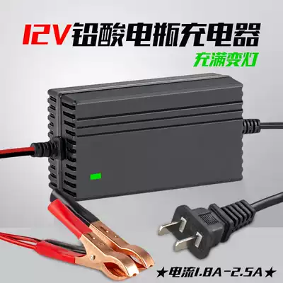 Clip type 6V children's children's electric car 12V adult locomotive 12V20Ah battery battery charging adapter