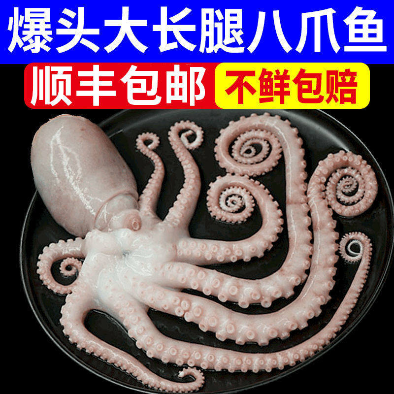 Octopus big headshot fresh big net red long legs eight catch fish long beard big octopus with rice and ink fresh frozen
