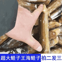 3 Jin razor clam clam Wang Hai clam fresh seafood natural pollution-free sand clean big Saint pen bamboo clam