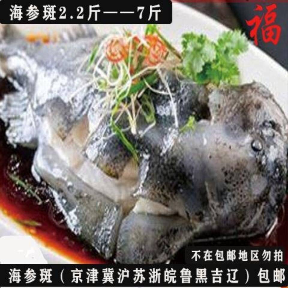Fresh to expand the sea cucumber spotted fish grouper in the Beijing-Tianjin-Tianjin-Hebei region.