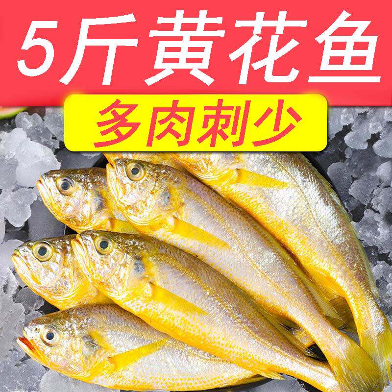 Special size small yellow flower fish fresh small yellow fish raw sea fishing for frozen deep-sea fish seafood aquatic 30 packs of ice 5 kilos
