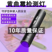 Aflatoxin detection pen UV flashlight purple light anti-counterfeit currency detection virus 365 fluorescent agent detection lamp