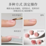 Распространение клея на кристаллическую резинку ногтя, очень тщательные безболезненные быстрые ногти Расширенная бумага, без тирофонная фототерапия.