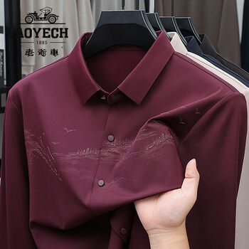 New classic cars spring and autumn high-end long