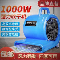 Detidal Furnishing Dry Floor Dual-use Small Floor Dehumidification Blow-drying Machine Blow Ground Machine Adjustable Speed Ground Air Drying
