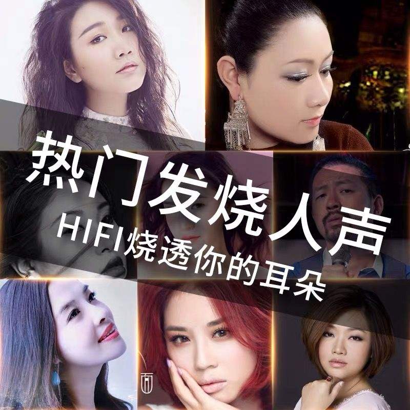 Car flash drive without distortion high quality car 2021 vibrato fever male and female voice HiFi Sun Luleiting Tan Yan Zhang Weijia Chen Rui vinyl high quality MP3 popular classic usb music USB